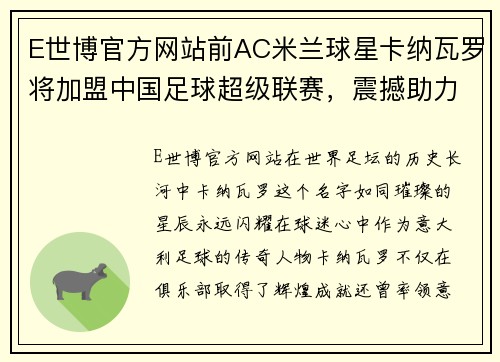 E世博官方网站前AC米兰球星卡纳瓦罗将加盟中国足球超级联赛，震撼助力中超再掀热潮 - 副本